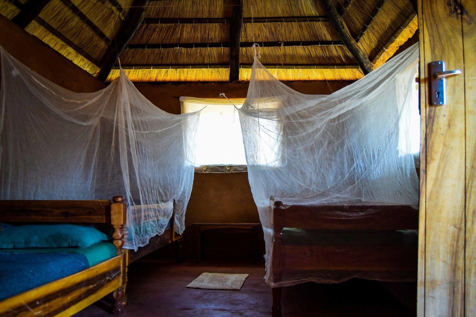 Отель Zinga Backpackers Ливингстон Экстерьер фото